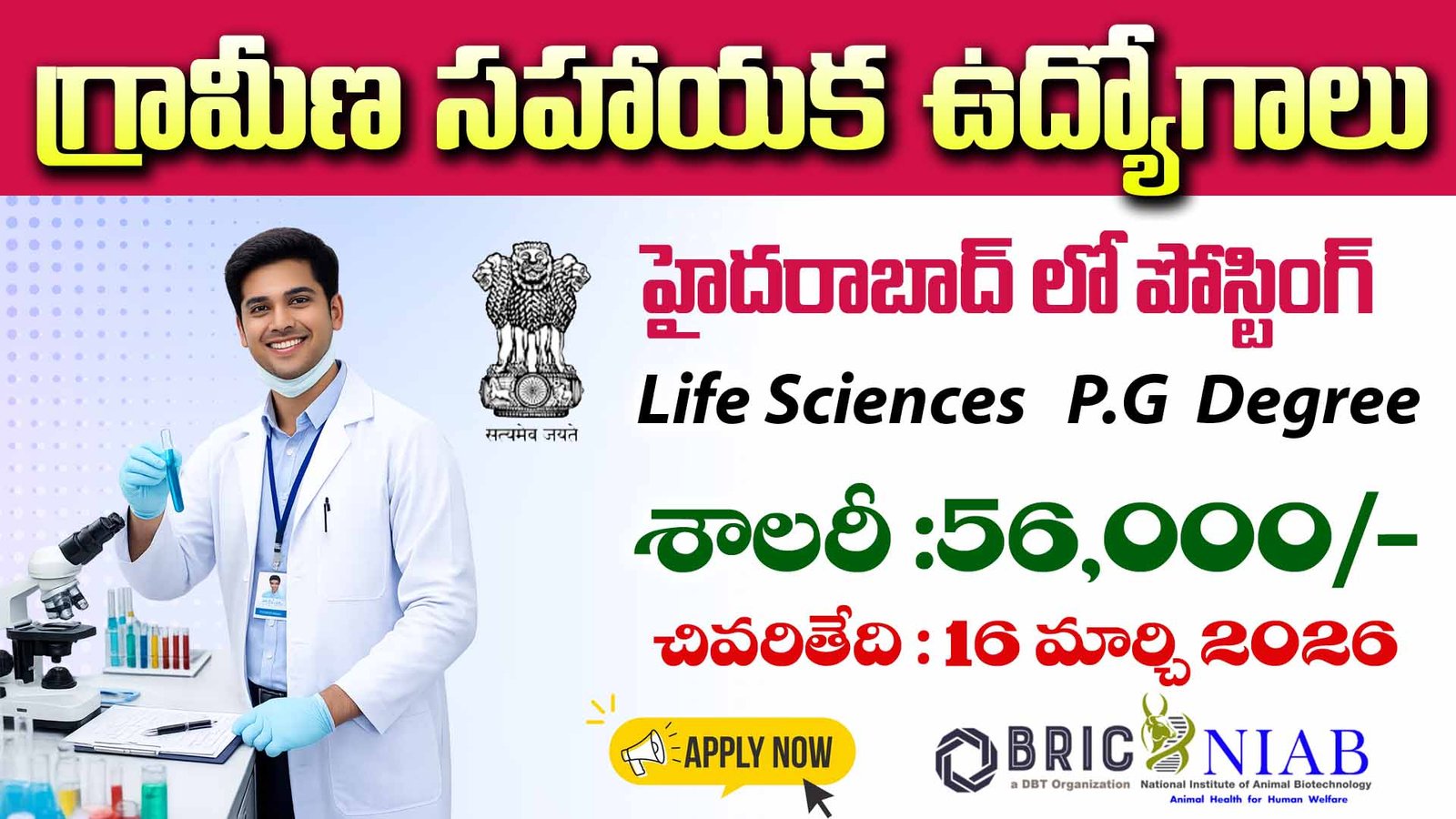 NIAB Hyderabad Recruitment
